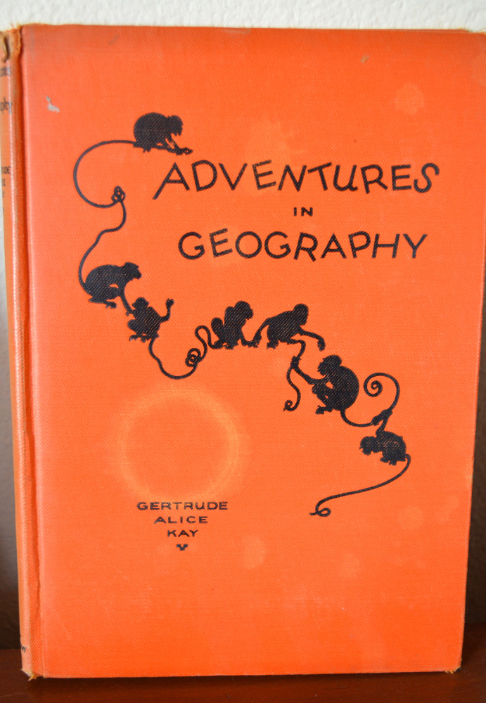 The Copycat Collector COLLECTION 182 Vintage School Geography Books