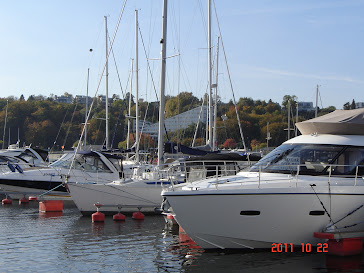 Gdynia - Marina ( jachty i motorówki  )