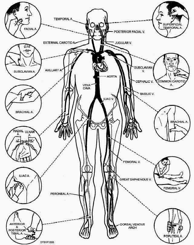 Din mak Kyusho jutsu Martial arts forever