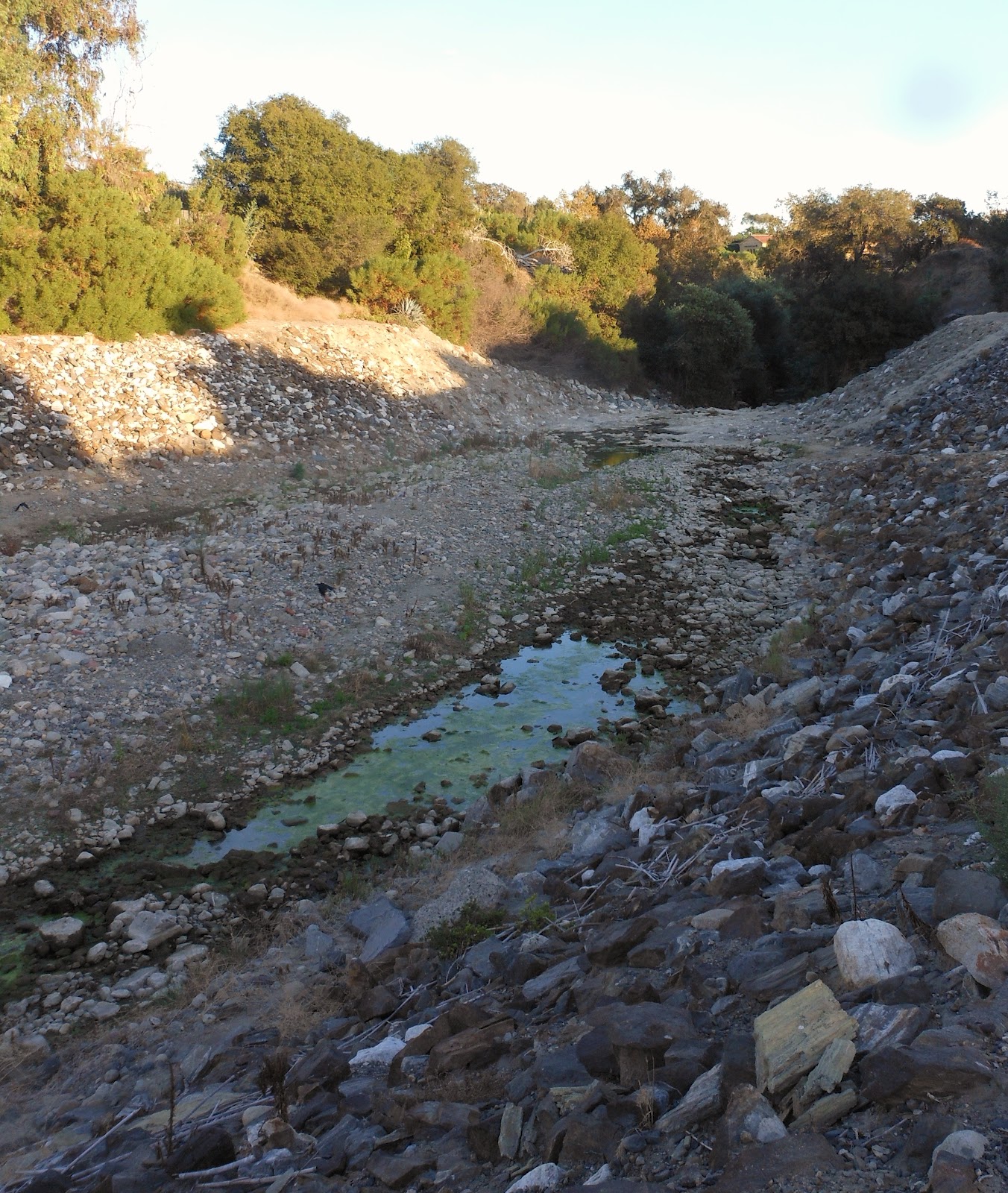 1000 Hikes in 1000 Days Day 656 Northwest Open Space
