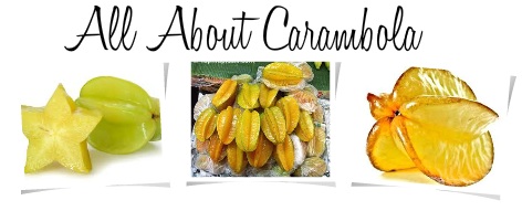 Star Fruit Averrhoa Carambola @J@ tropical edible Starfruit exotic seed 10 SEEDS 