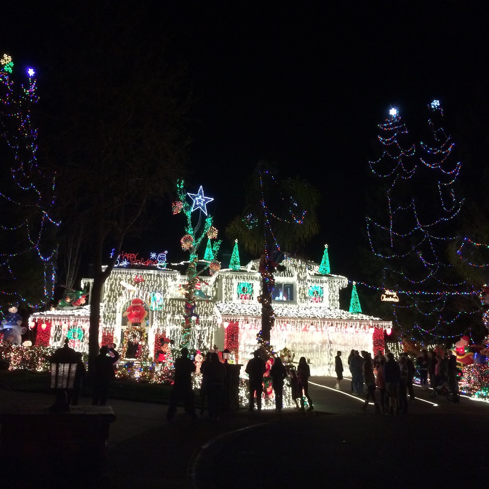 The Larson Lingo: Our favorite Christmas Traditions &amp; Recipes