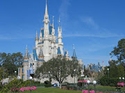 . tener en cuenta a la hora de planificar un viaje a Walt Disney World: (disneyworld )
