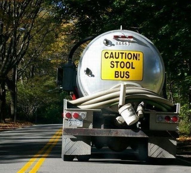 transpress nz stool bus