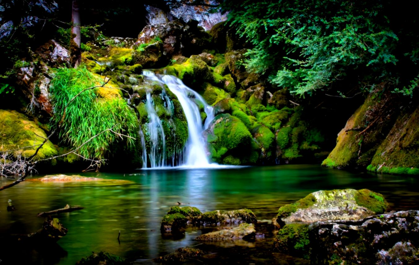 Free Download Hd Nature Wallpaper For Windows 7 | Zoom ...