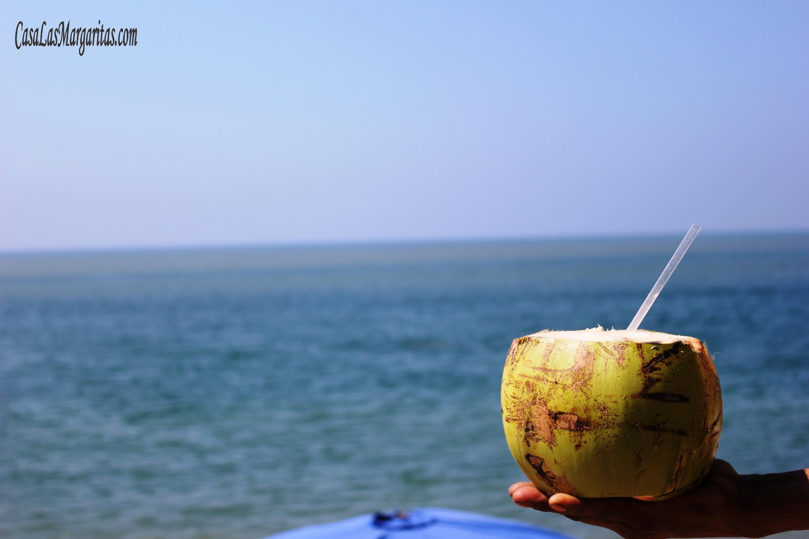 Living Barra de Navidad Autumn in Mexico Barra de Navidad on the