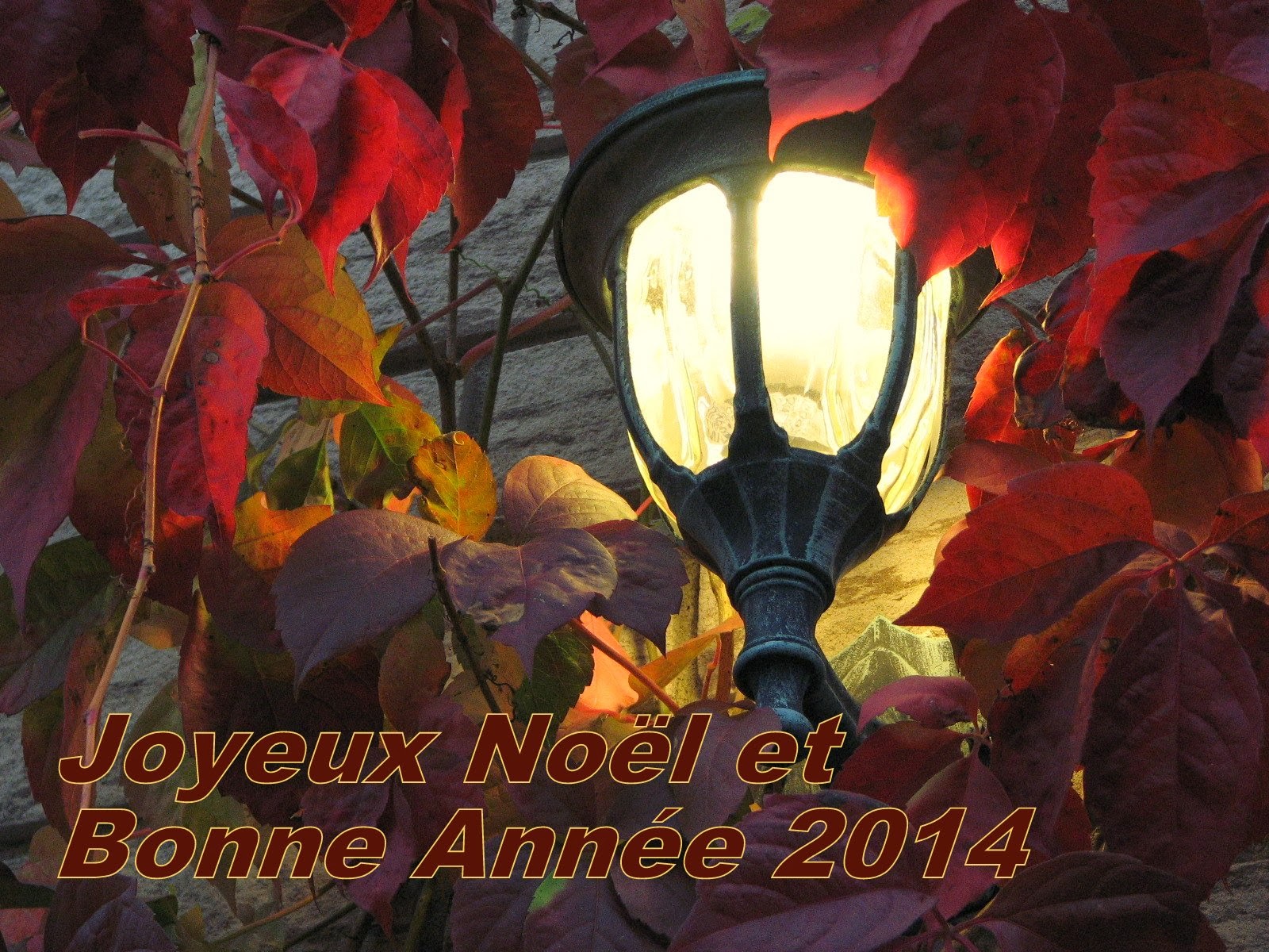 Zigzag de photos: Voeux des fêtes