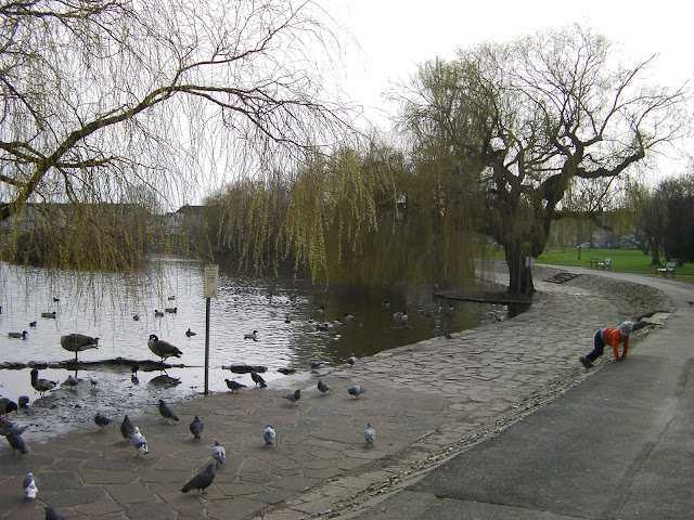 baffins duck pond, copnor, portsmouth