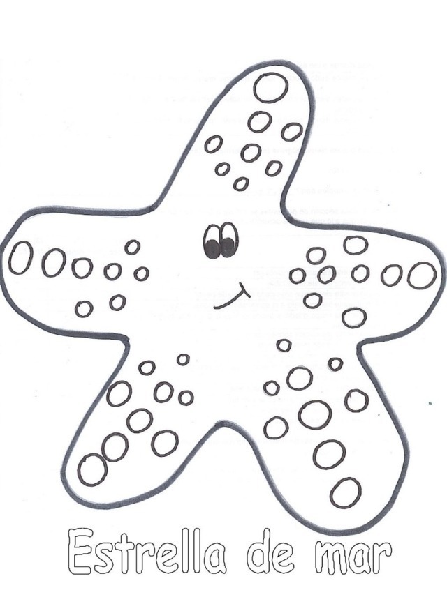 Animales Acuaticos Para Colorear Estrella De Mar Papel Pintado