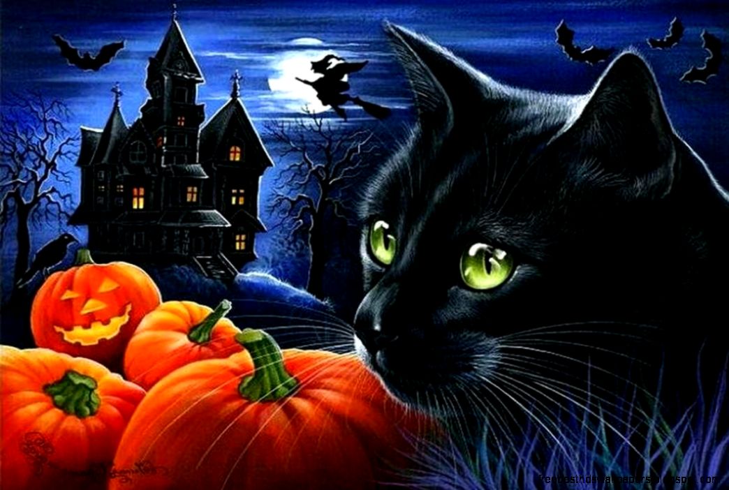 Halloween Black Cats Wallpaper Halloween Black Cats Wallpaper