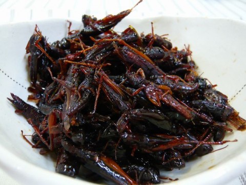 Tapioca juice fruit Most Exotic Foods in the Philippines ~ Mobile Price Watch