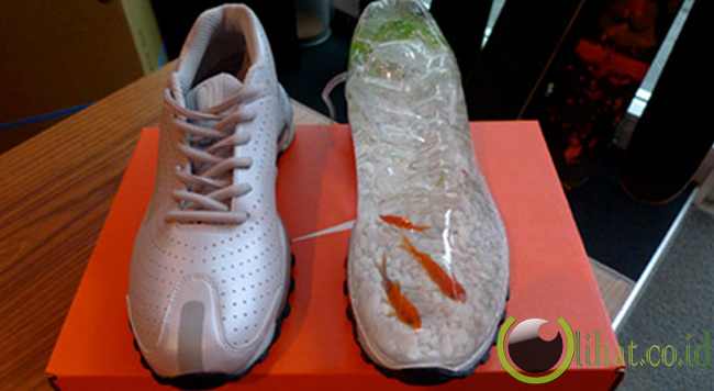 Aquarium Sepatu Nike