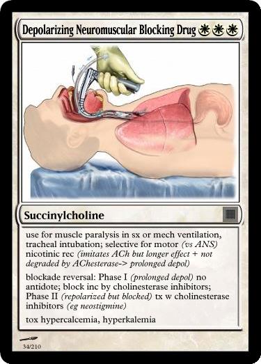 neuromusculer blocking drugs Neuromuscular blocking drugs are routinely used during the administration of anesthesia to allow surgical access to body cavities, in particular the abdomen and thorax, without hindrance from. neuromusculer blocking drugs Neuromuscular blocking drugs are routinely used during the administration of anesthesia to allow surgical access to body cavities, in particular the abdomen and thorax, without hindrance from.