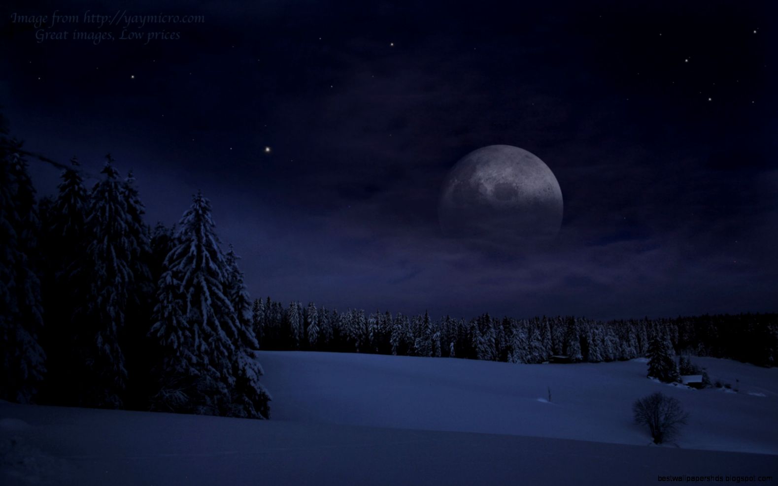 Free Christmas Night Full Moon Snow Forest Wallpaper 1680x1050 px Free Christmas Night Full Moon Snow Forest Wallpaper 1680x1050 px