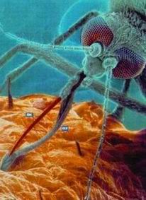 ���� ������ �� ����� ������ ������� ���� ������ �� ���� ������ ������ �������