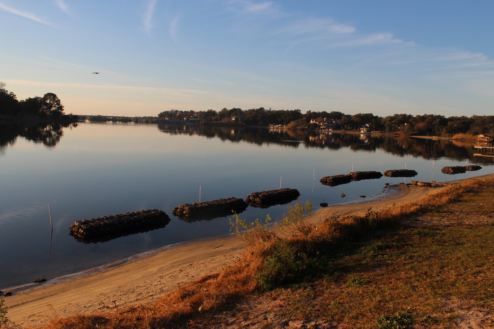 Bayview Park Our favorite community (DOG) park in Pensacola!