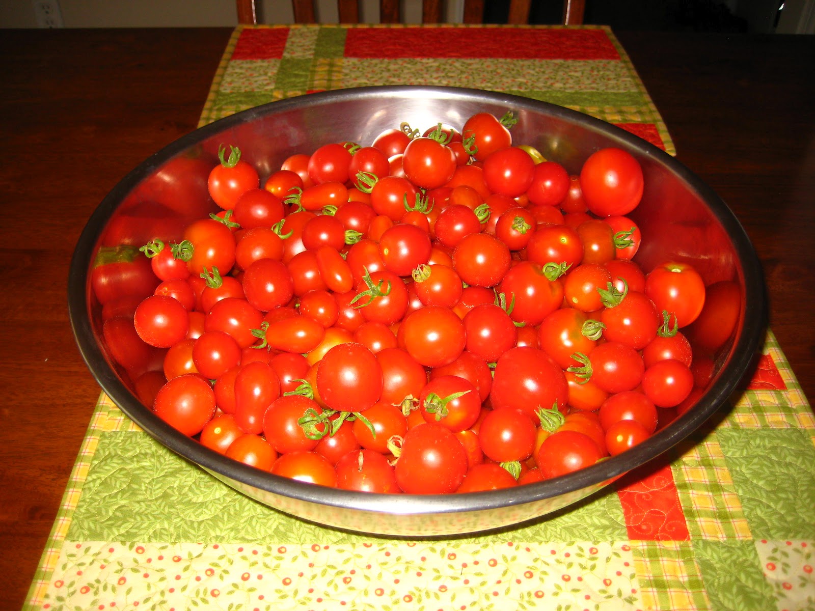 Tomato harvest time Susan's in the Garden