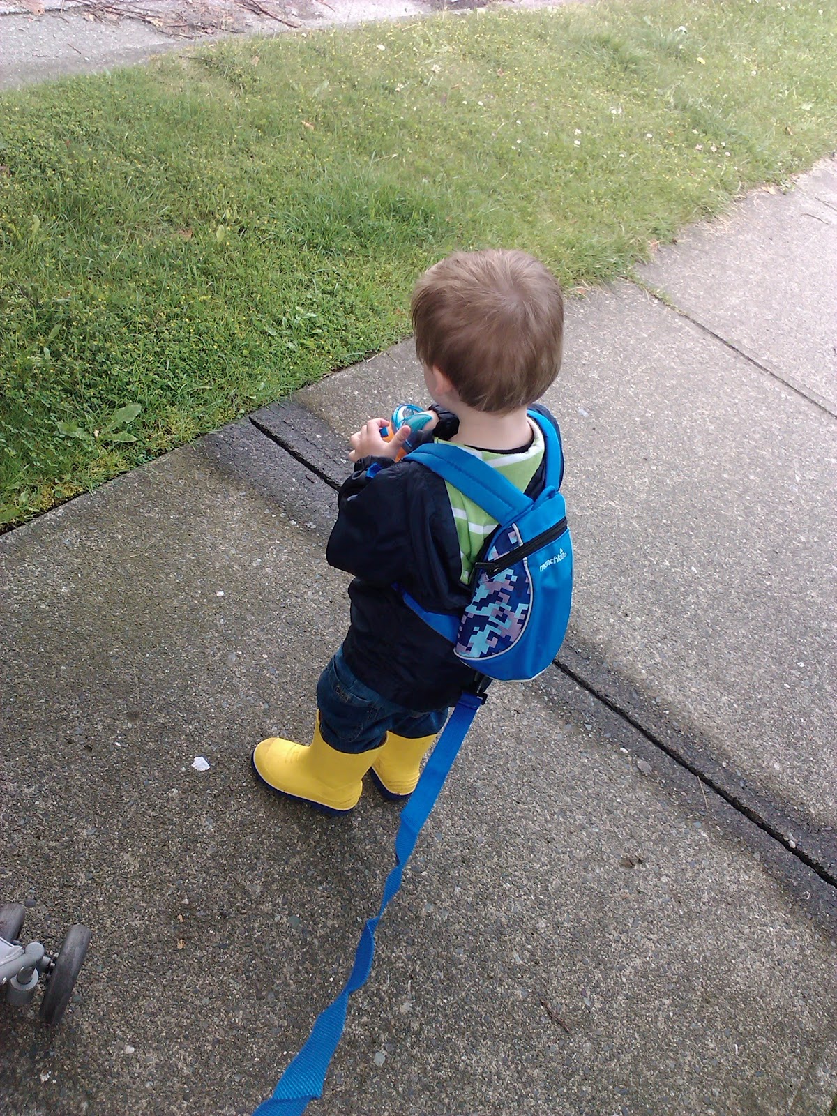 Spokesmama Toddler leashes yes or no?