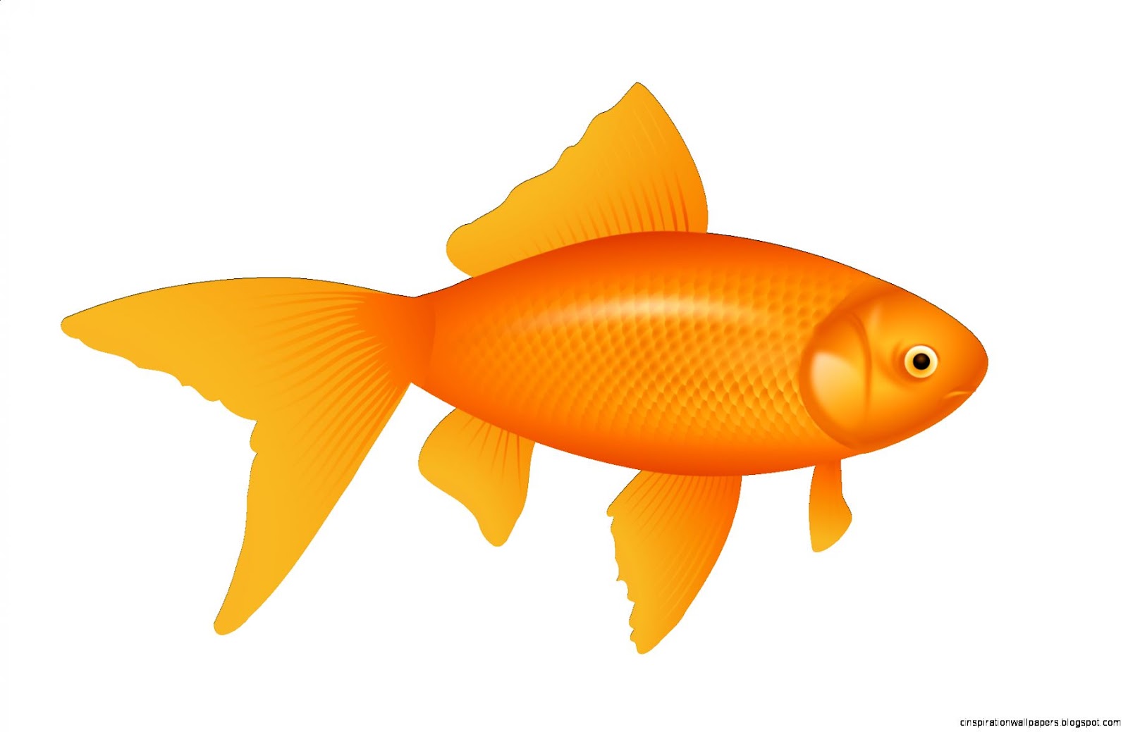 Green Fish Clip Art Goldfish Green Fish Clip Art Goldfish