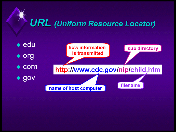 Introduction To Computer Basics Url Uniform Resource Locator