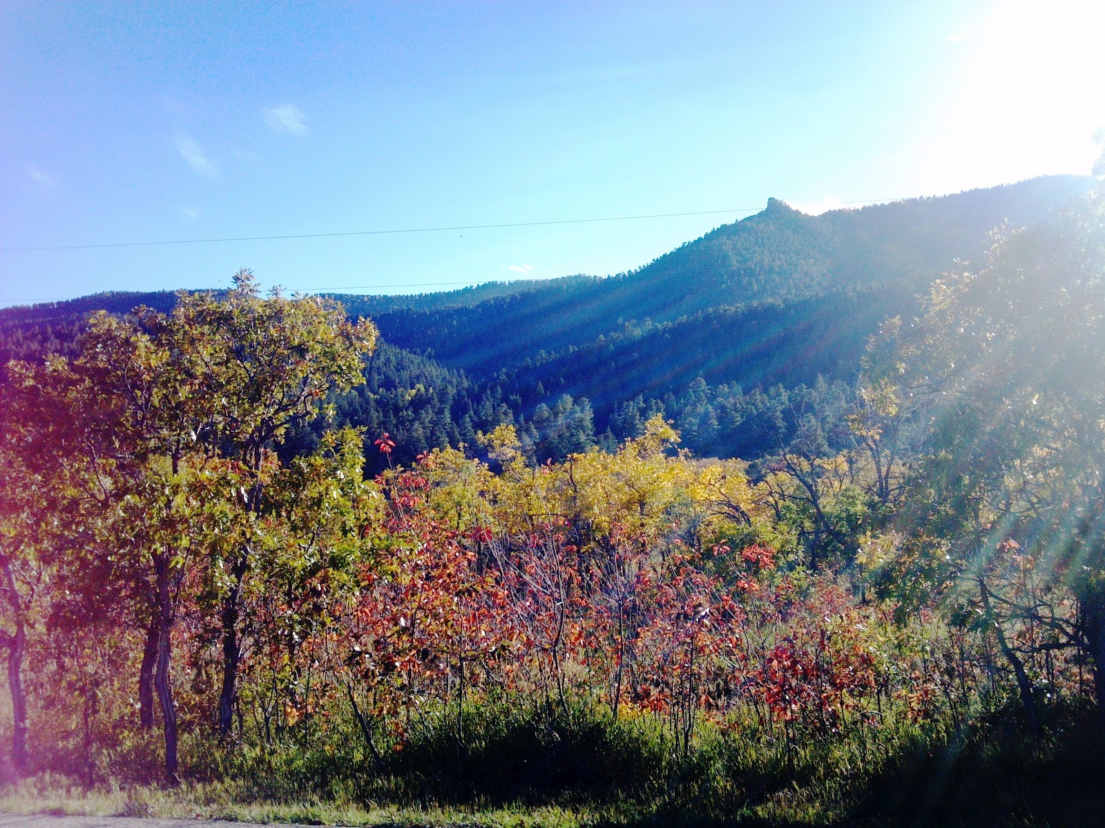 San Isabel Fall 2012 Photo Tour (Aspen, Colorado City homes, live