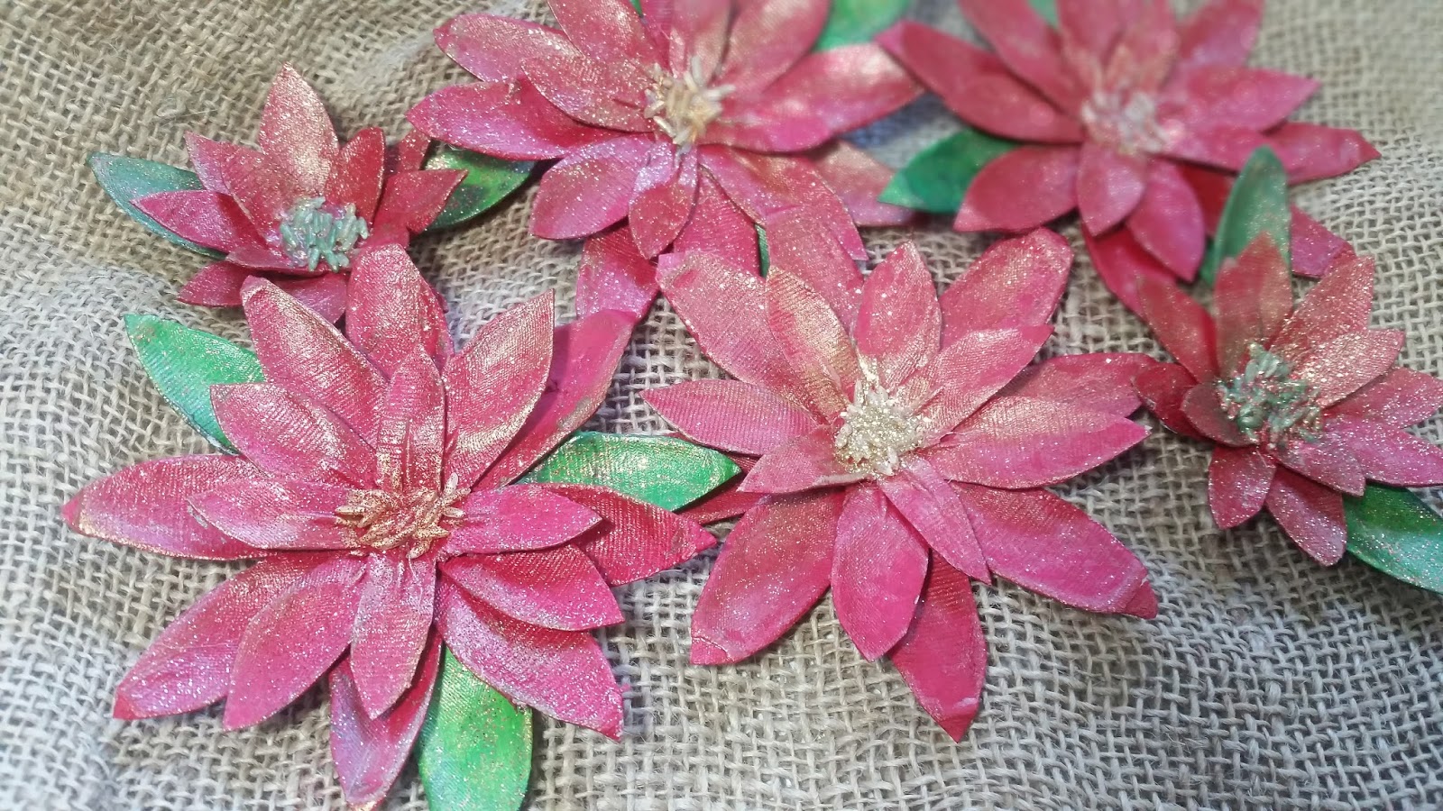 Christmas poinsettias plant engledow FLOR DE NAVIDAD - EL RINCON DE MARYLIN