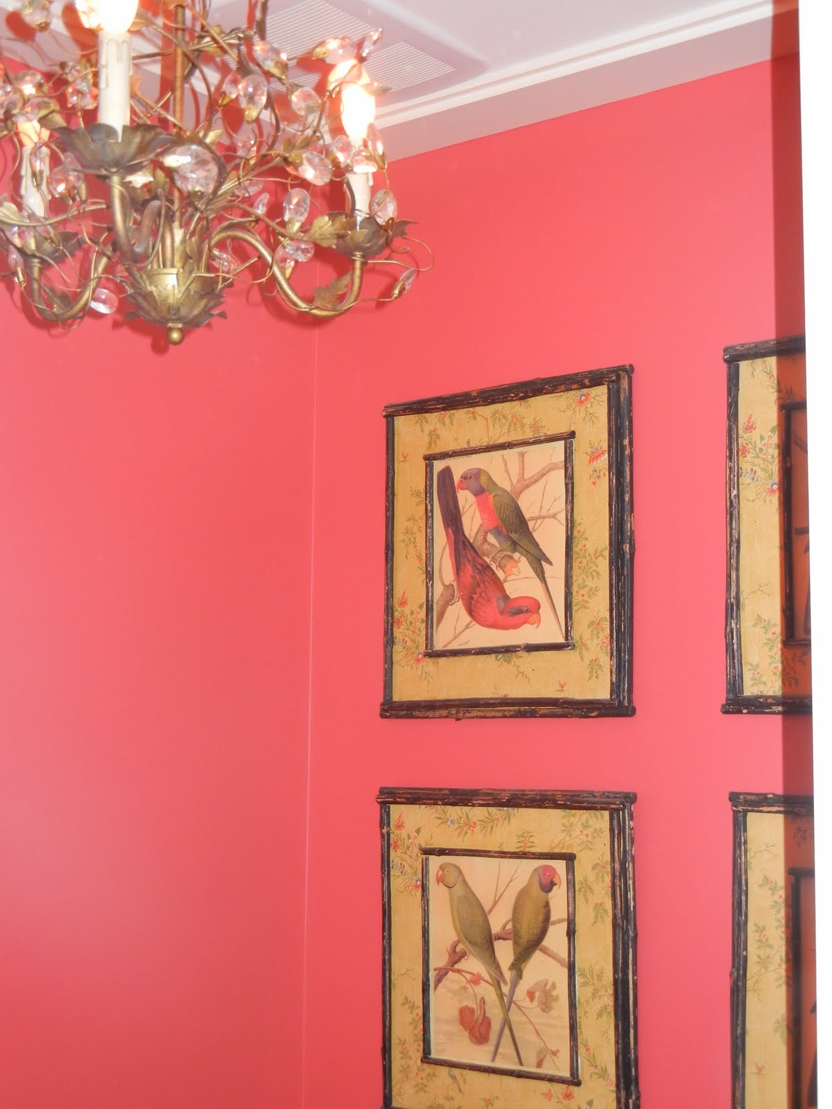 The French Tangerine inspired home... book club