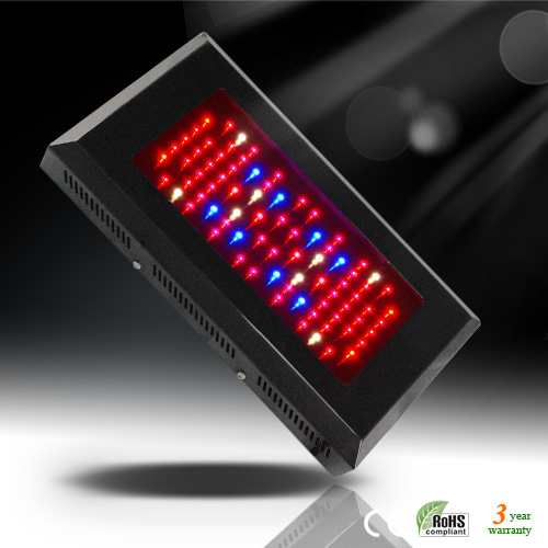 Hydroponicslights Do LEDs Lose Light Intensity with Time?What do you think about