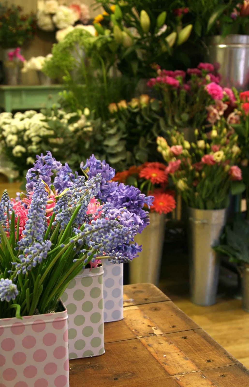 Flower Shop Stories February 2011