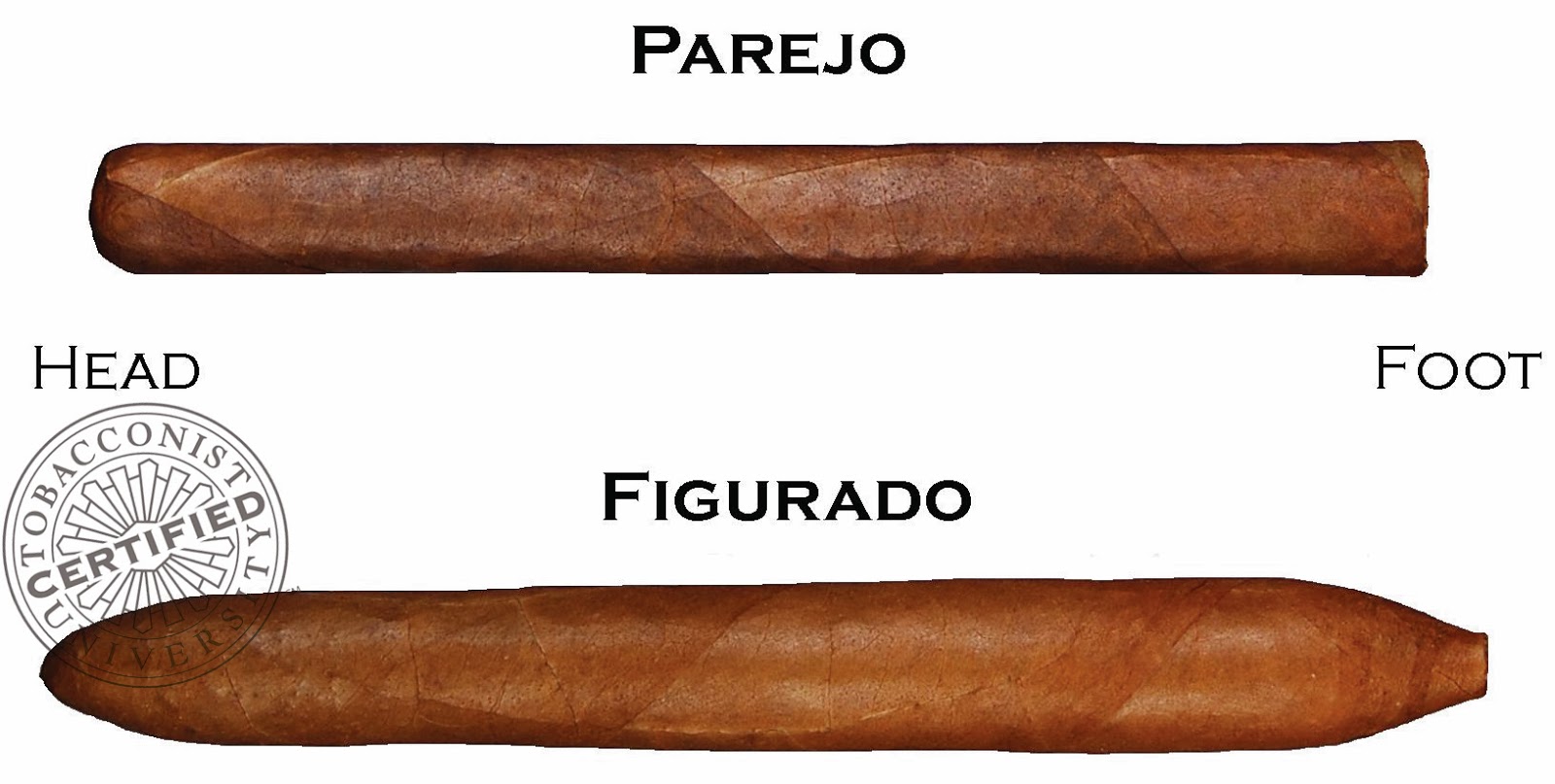 Tobacconist University Cigar Anatomy Final Exam Review