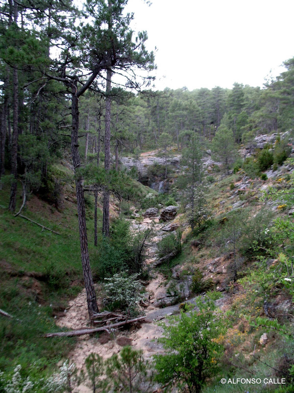 EL BLOG DE ALFONSO CALLE EL KARST DE CARRASCOSA DE LA SIERRA (CUENCA)