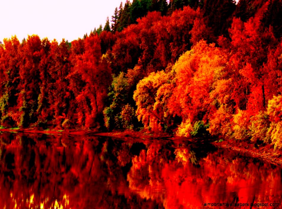 Autumn Nature Wallpapers HD Pictures One HD Wallpaper Pictures Autumn Nature Wallpapers HD Pictures One HD Wallpaper Pictures