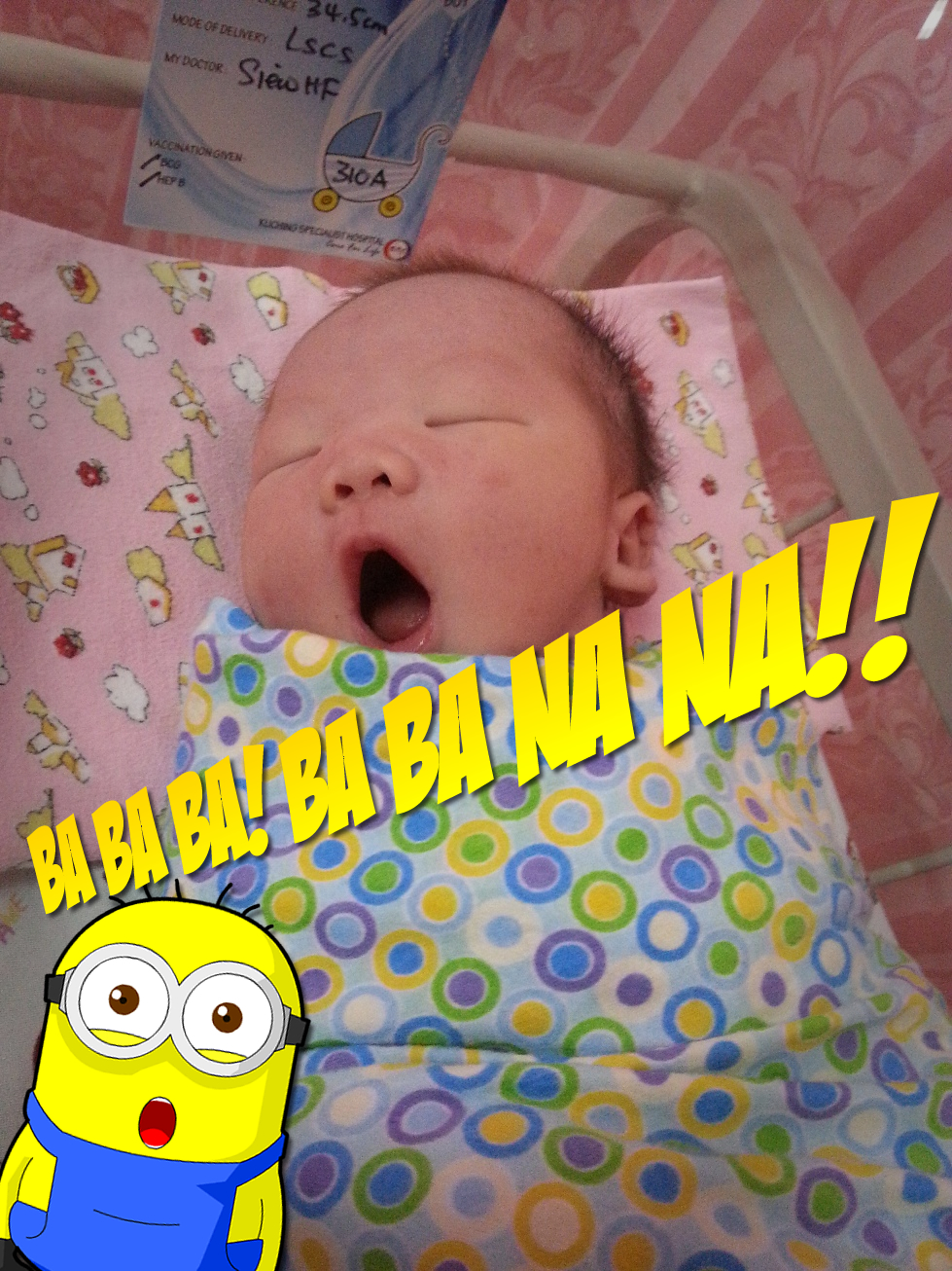 THEEGGYOLKS 蛋黃打点滴: Thursday surprise: Selamat Hari Raya Aidilfitri 2013!!
