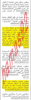 وظائف خالية من جريدة الشبيبة سلطنة عمان4/4/2013- %D8%A7%D9%84%D8%B4%D8%A8%D9%8A%D8%A8%D8%A9+3