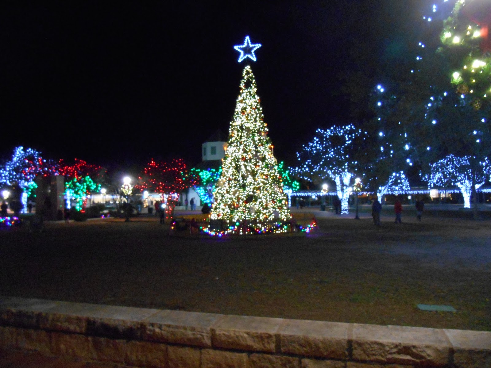 Bob & Sharon'sTravel Adventures Christmas Lights 12/18/15