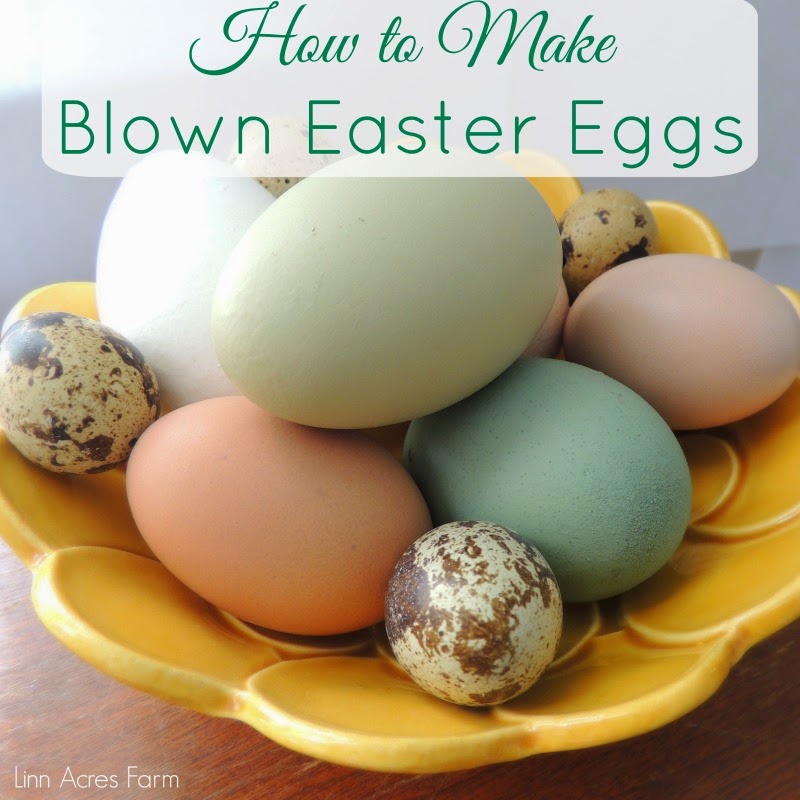 Linn Acres Farm How To Make Blown Easter Egg Decorations