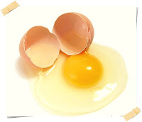 kandungan putih telur