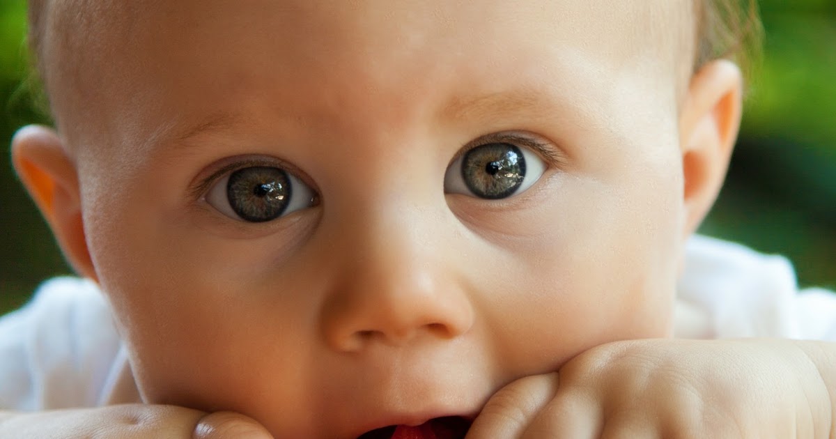 Crece Bebe: Estimula el pensamiento del niño de un año