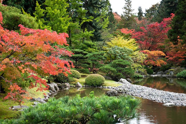 Japanese Garden - Seattle