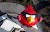 Mega Angry Birds al Espacio