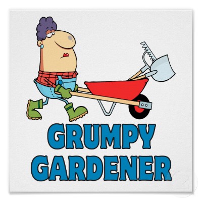 Lessons From The Garden Starting Seeds Indoors The Grumpy Gardener