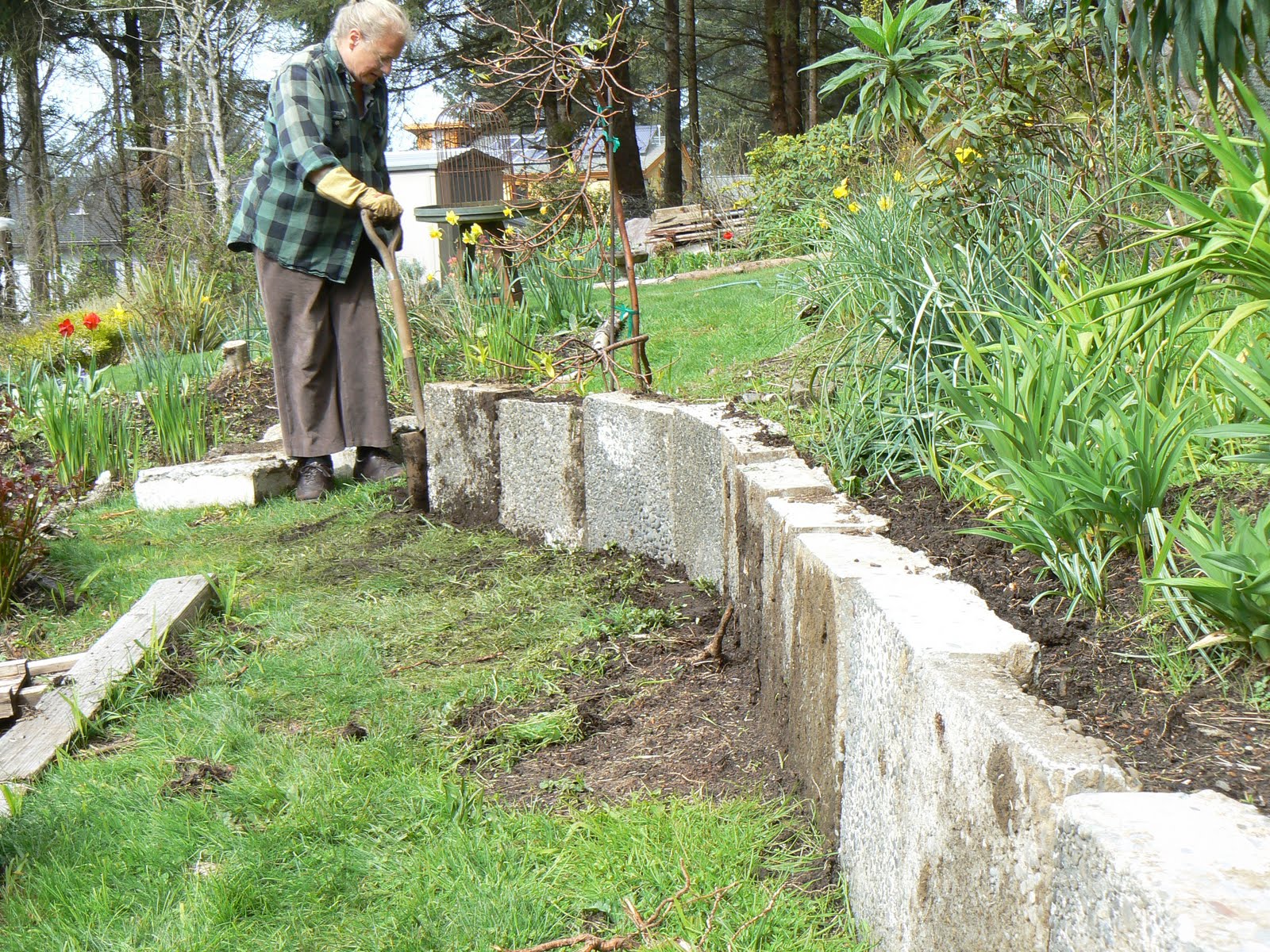 The Trinidad Garden Moss terrace a retaining wall with a history