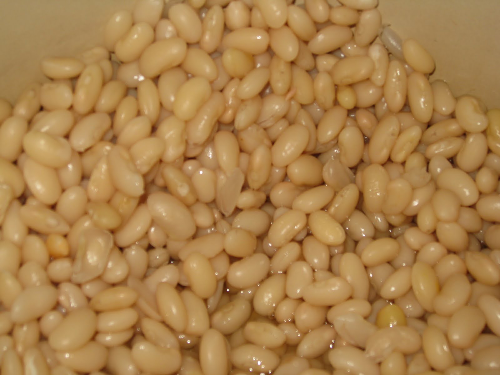 Tuscan Beans An Authentic Italian Recipe for the Novice Cook