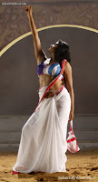 Priyamani Hot Saree photos-Priyamani Hot white Saree photos from tilkka movie