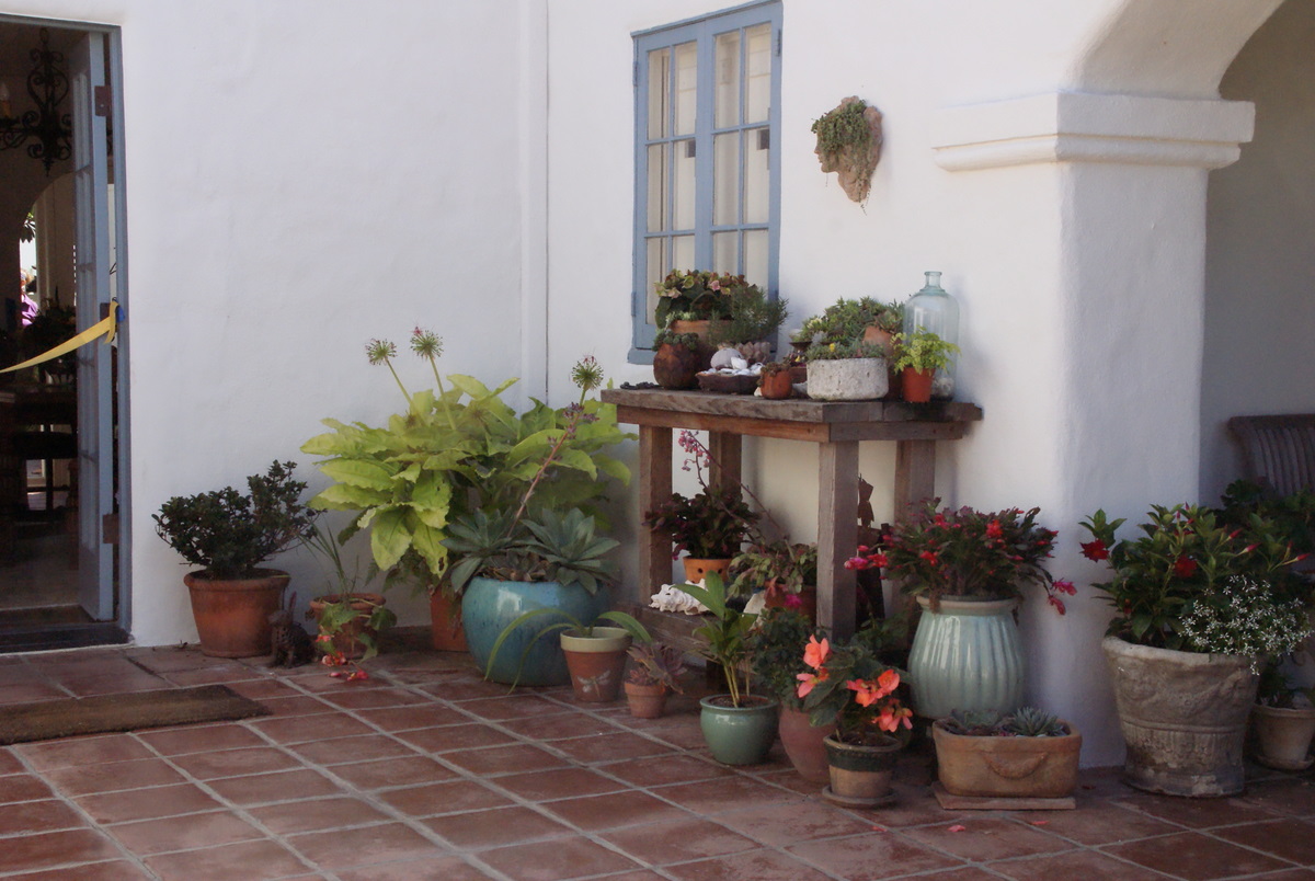 Organic Garden Dreams "Autum in the Garden", San Diego Garden Tour II
