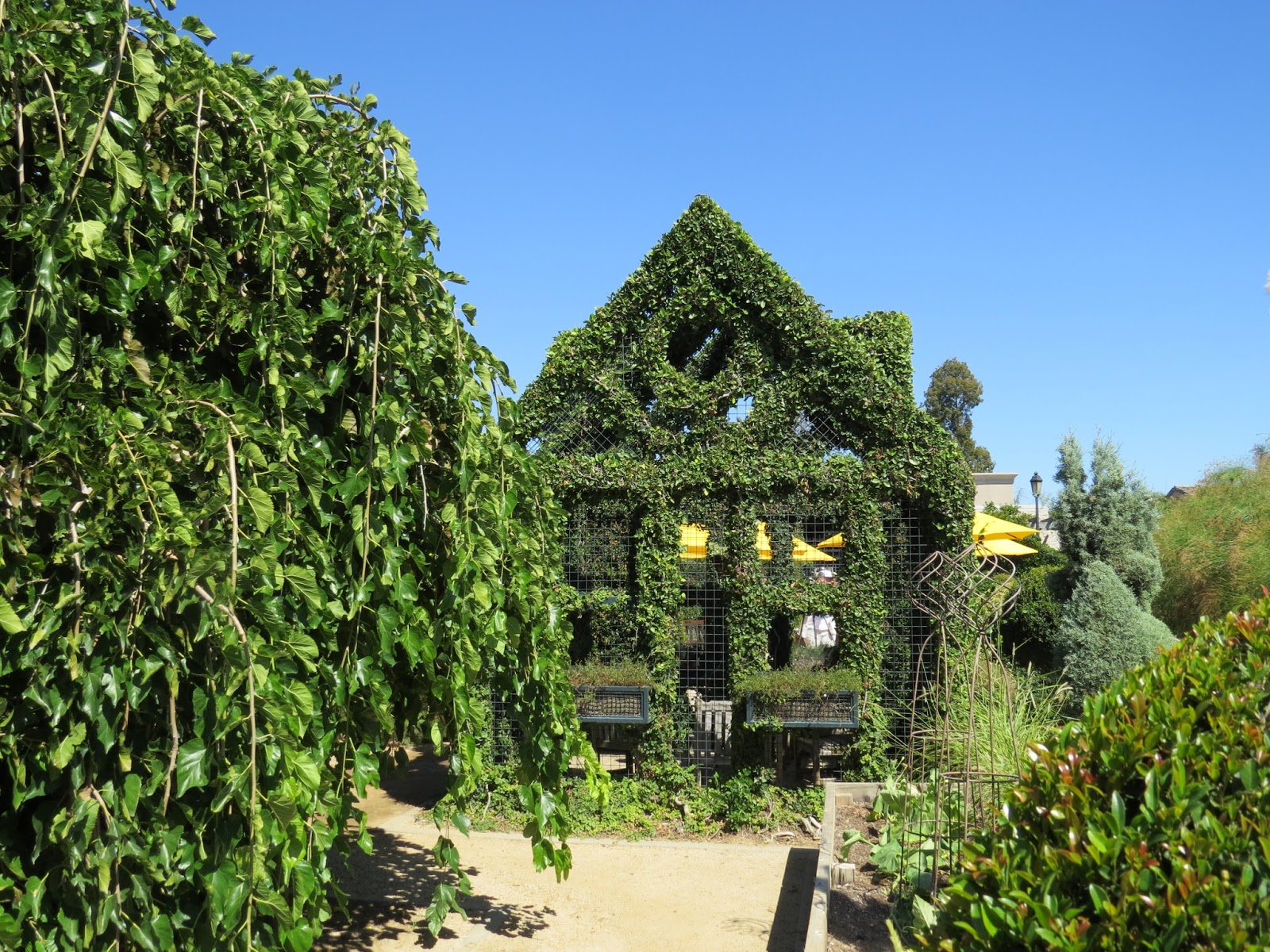 The Huntington Botanical Gardens Susan's in the Garden