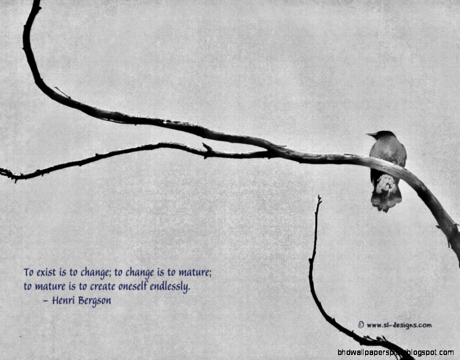 Funny Quotes About Life Funny Quotes About Life