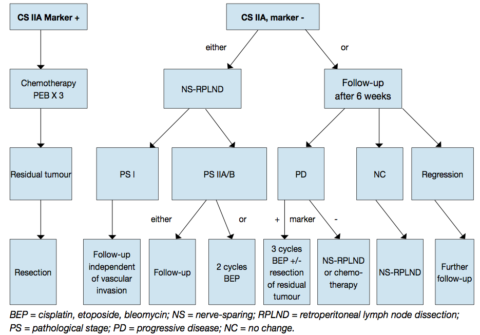 Testicular cancer Diagnostic evaluation