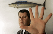 new york times review by daniel handler - lemony snicket