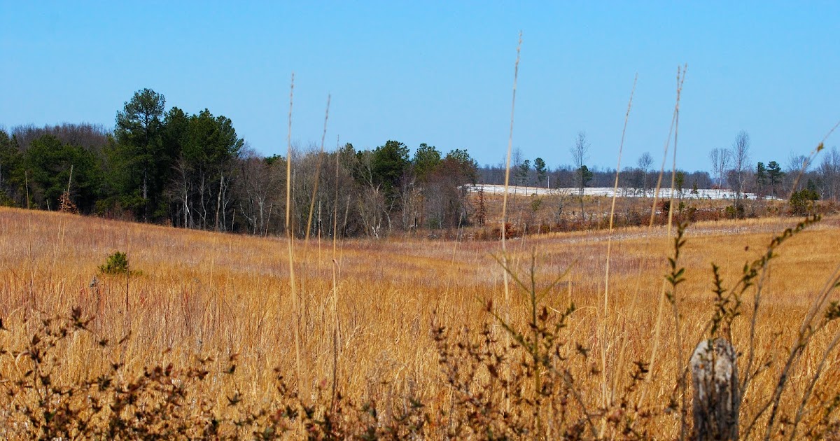 The Tennessee Wildlife Habitat Blog Quail Habitat Exercise
